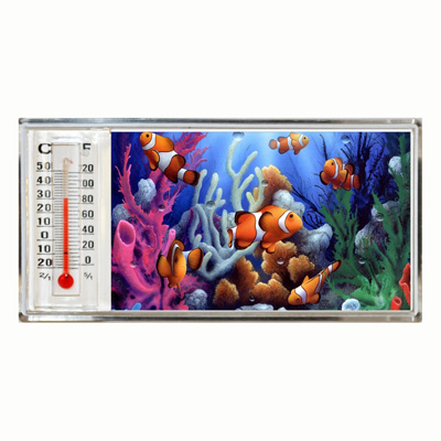 3D Thermometer Magnet Clown Fish/Reef